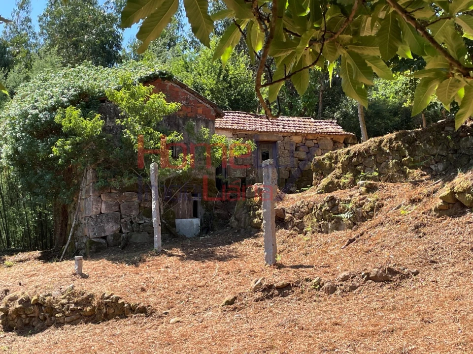 Terreno para Venda em Espadanedo Foto 7