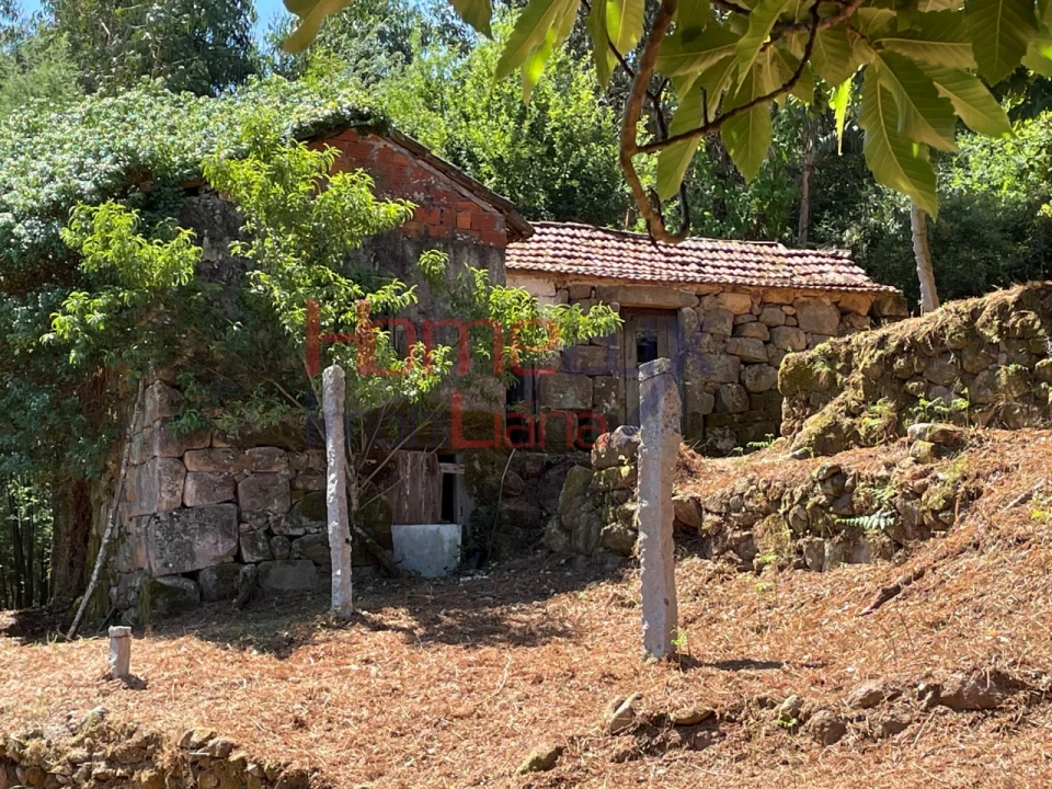 Terreno para Venda em Espadanedo Foto 8