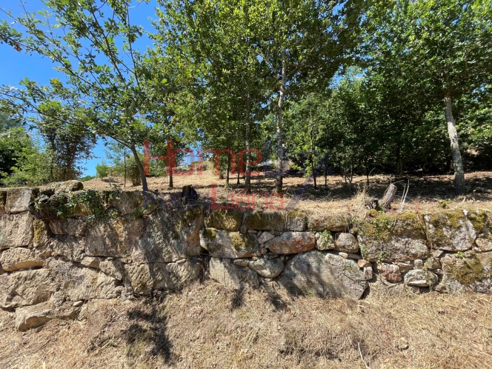 Terreno para Venda em Espadanedo Foto 10