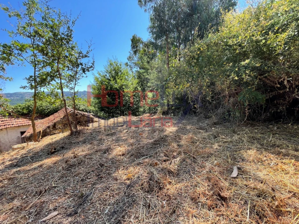 Terreno para Venda em Espadanedo Foto 18