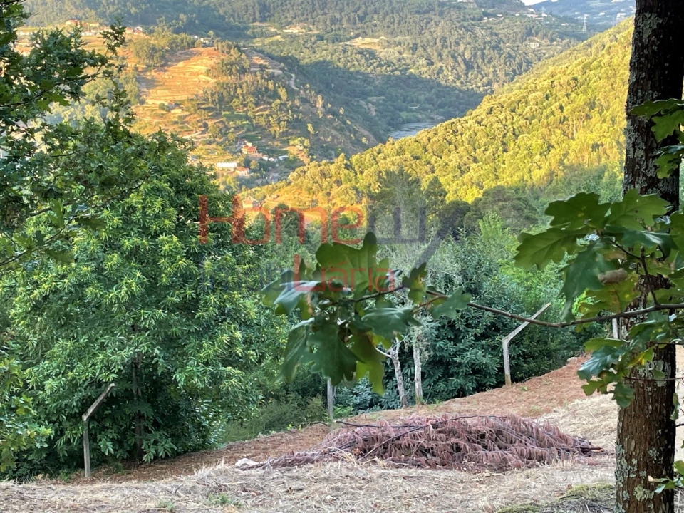 Terreno para Venda em Espadanedo Foto 35