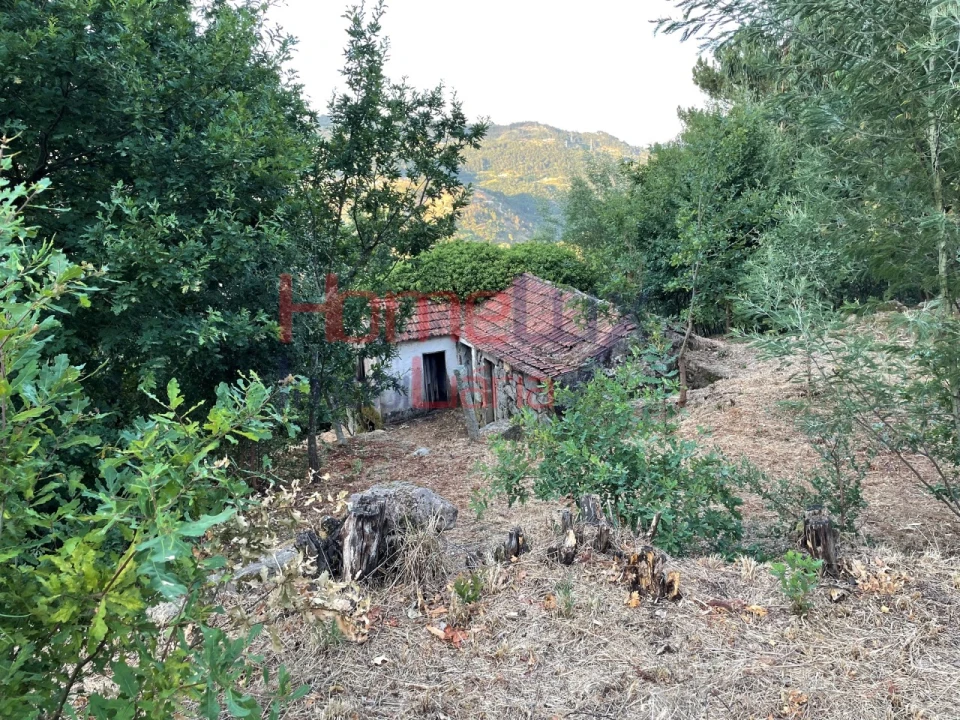 Terreno para Venda em Espadanedo Foto 36