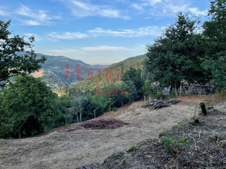 Terreno para Venda em Espadanedo Foto 37