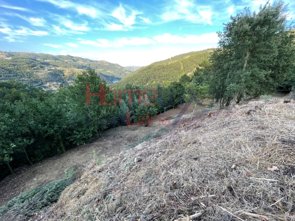 Terreno para Venda em Espadanedo Foto 40