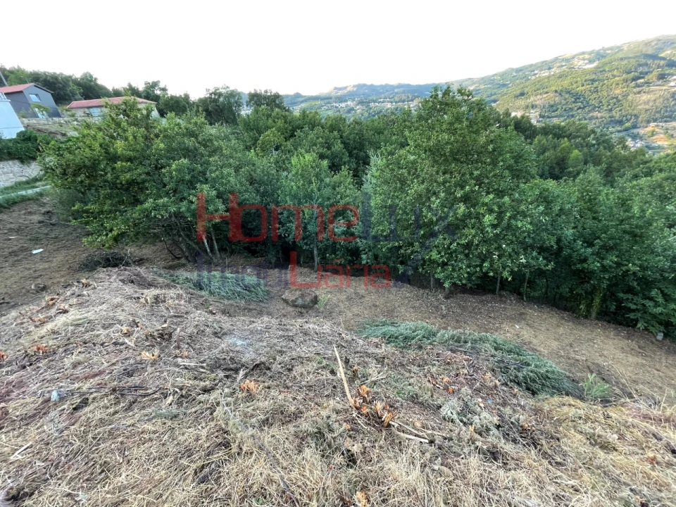 Terreno para Venda em Espadanedo Foto 41