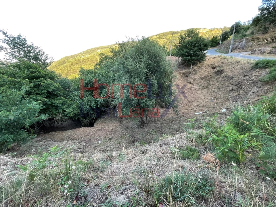 Terreno para Venda em Espadanedo Foto 42