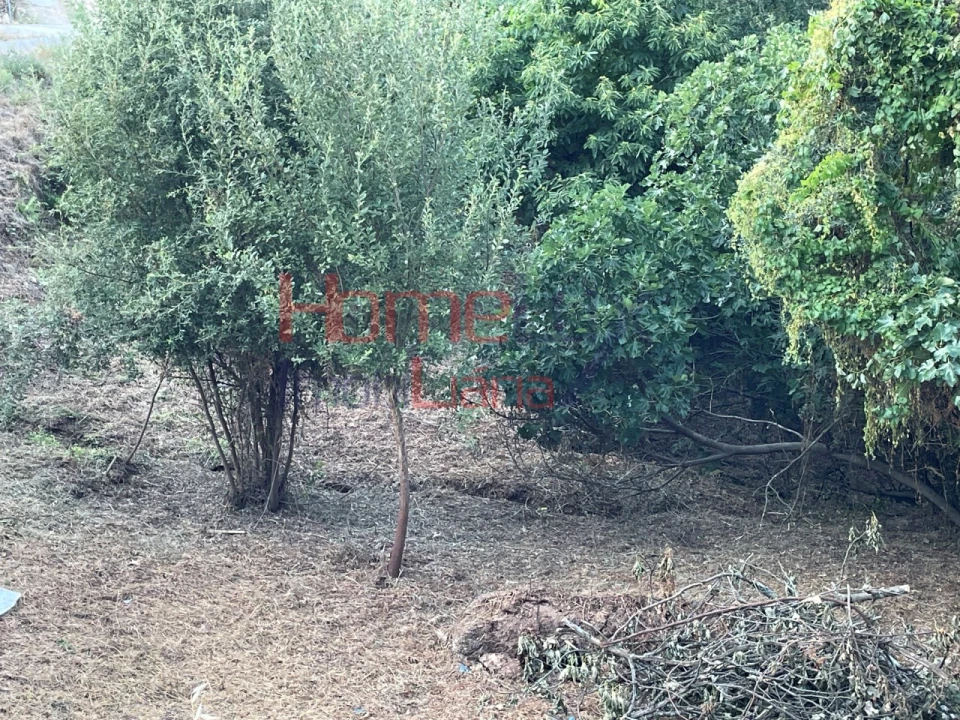 Terreno para Venda em Espadanedo Foto 43