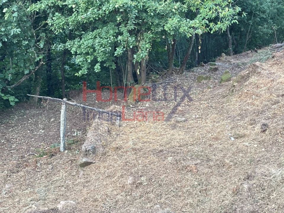 Terreno para Venda em Espadanedo Foto 44