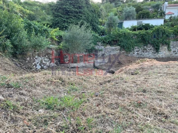 Terreno para Venda em Espadanedo