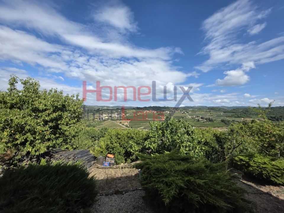 Quinta T3 para Venda em Lamego (Almacave e Sé) Foto 43