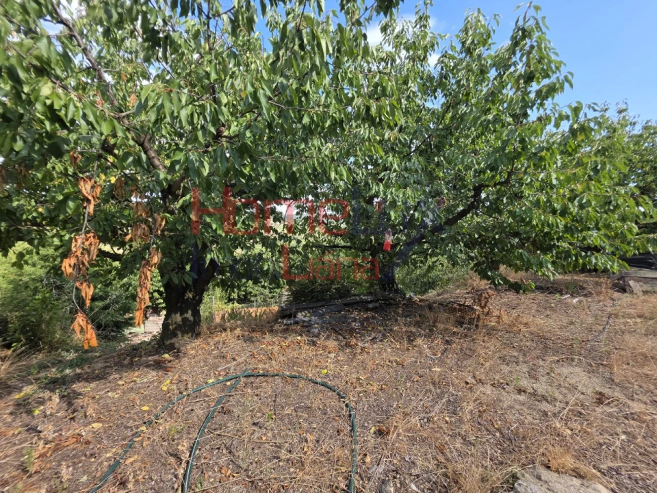 Quinta T3 para Venda em Lamego (Almacave e Sé) Foto 45