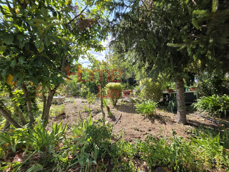 Quinta T3 para Venda em Lamego (Almacave e Sé) Foto 47