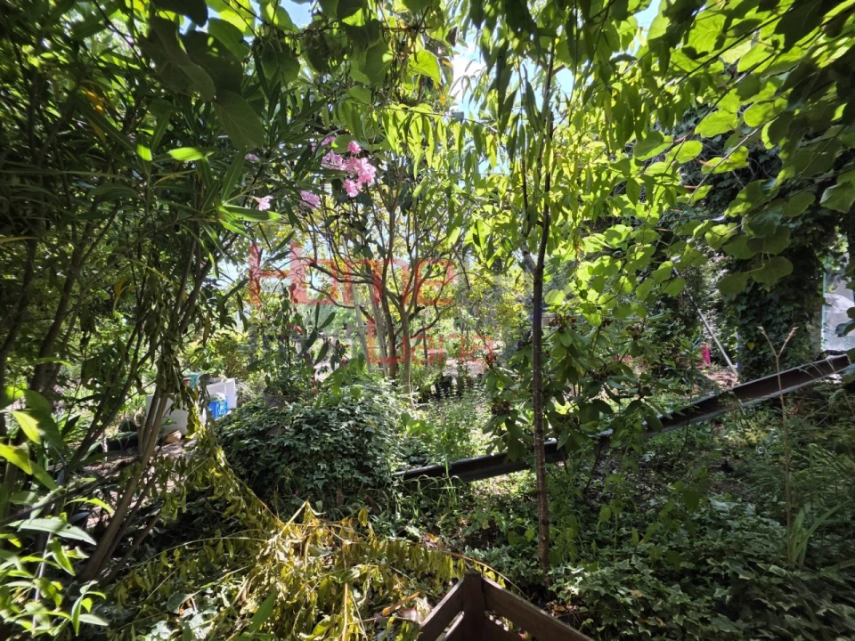 Quinta T3 para Venda em Lamego (Almacave e Sé) Foto 48
