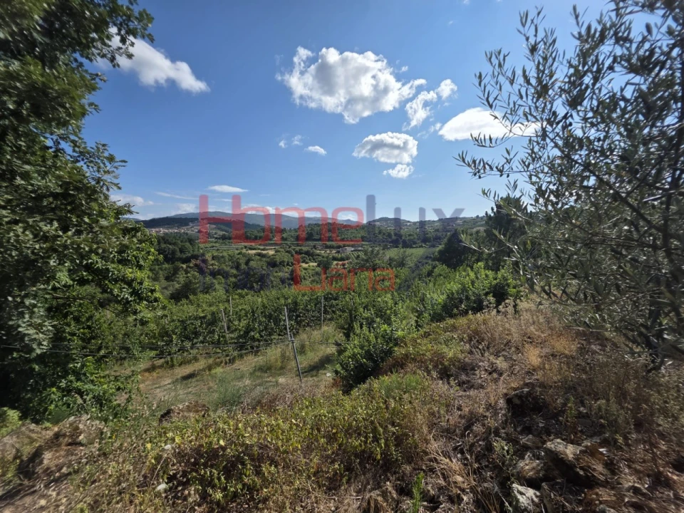 Quinta T3 para Venda em Lamego (Almacave e Sé) Foto 61