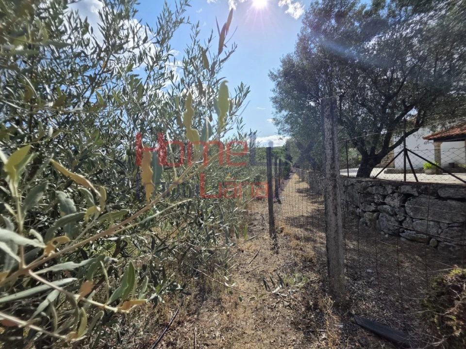 Quinta T3 para Venda em Lamego (Almacave e Sé) Foto 63