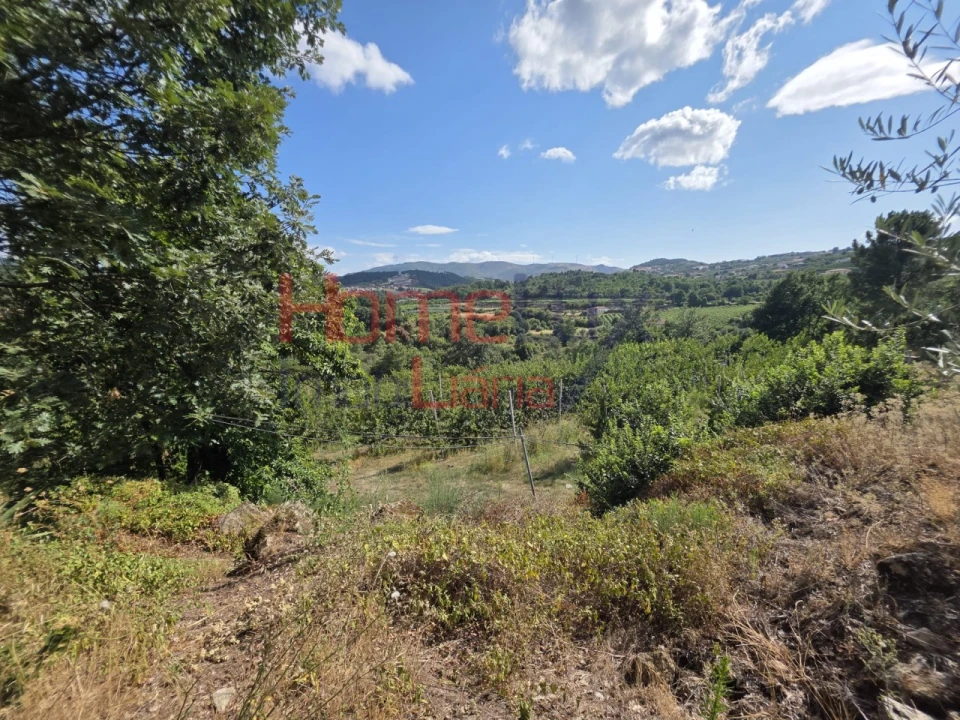 Quinta T3 para Venda em Lamego (Almacave e Sé) Foto 64