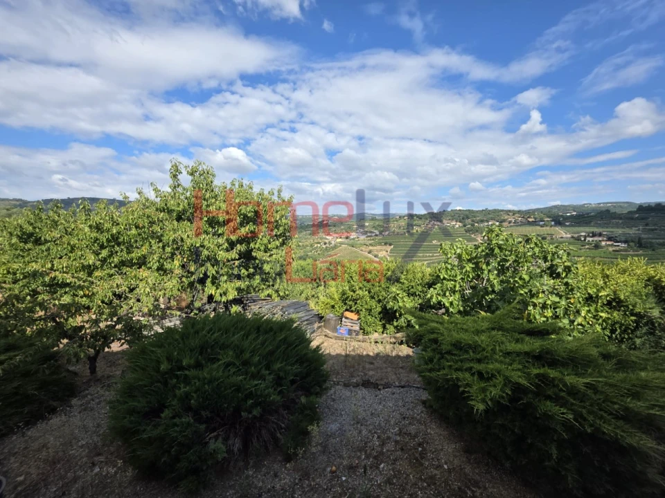 Quinta T3 para Venda em Lamego (Almacave e Sé) Foto 65