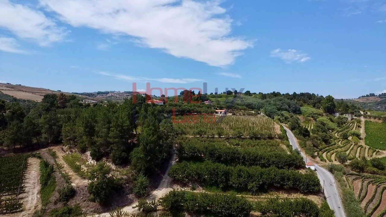 Quinta T3 para Venda em Lamego (Almacave e Sé) Foto 23