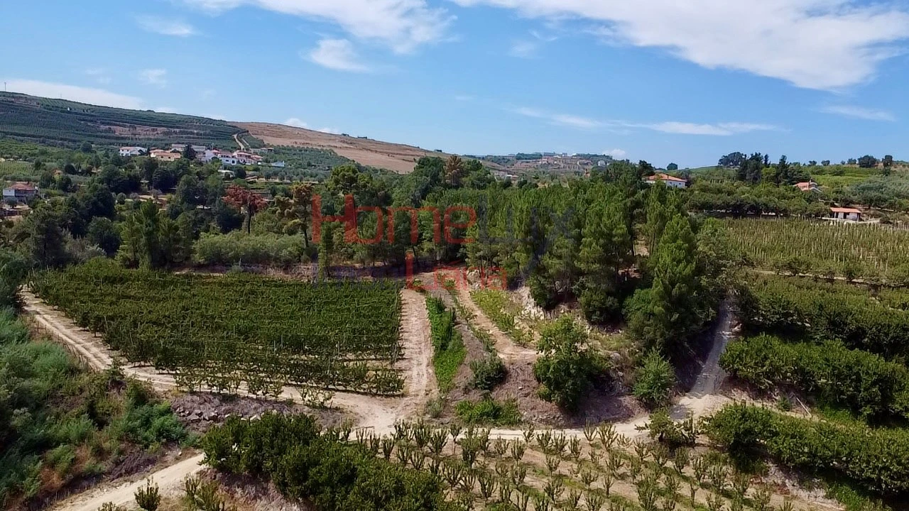 Quinta T3 para Venda em Lamego (Almacave e Sé) Foto 18