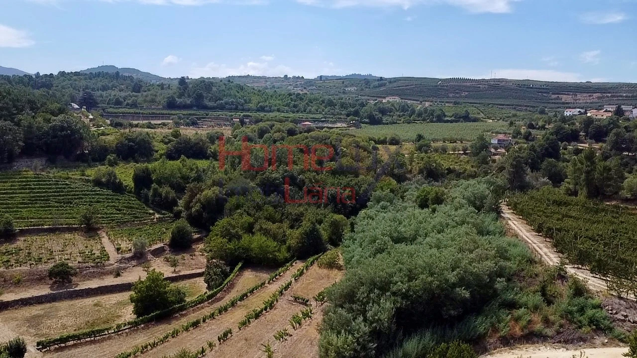 Quinta T3 para Venda em Lamego (Almacave e Sé) Foto 21