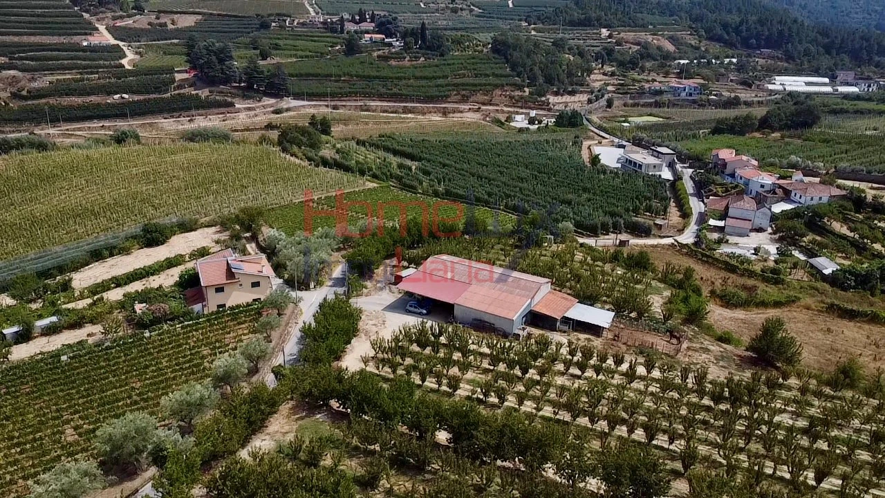 Quinta T3 para Venda em Lamego (Almacave e Sé) Foto 14