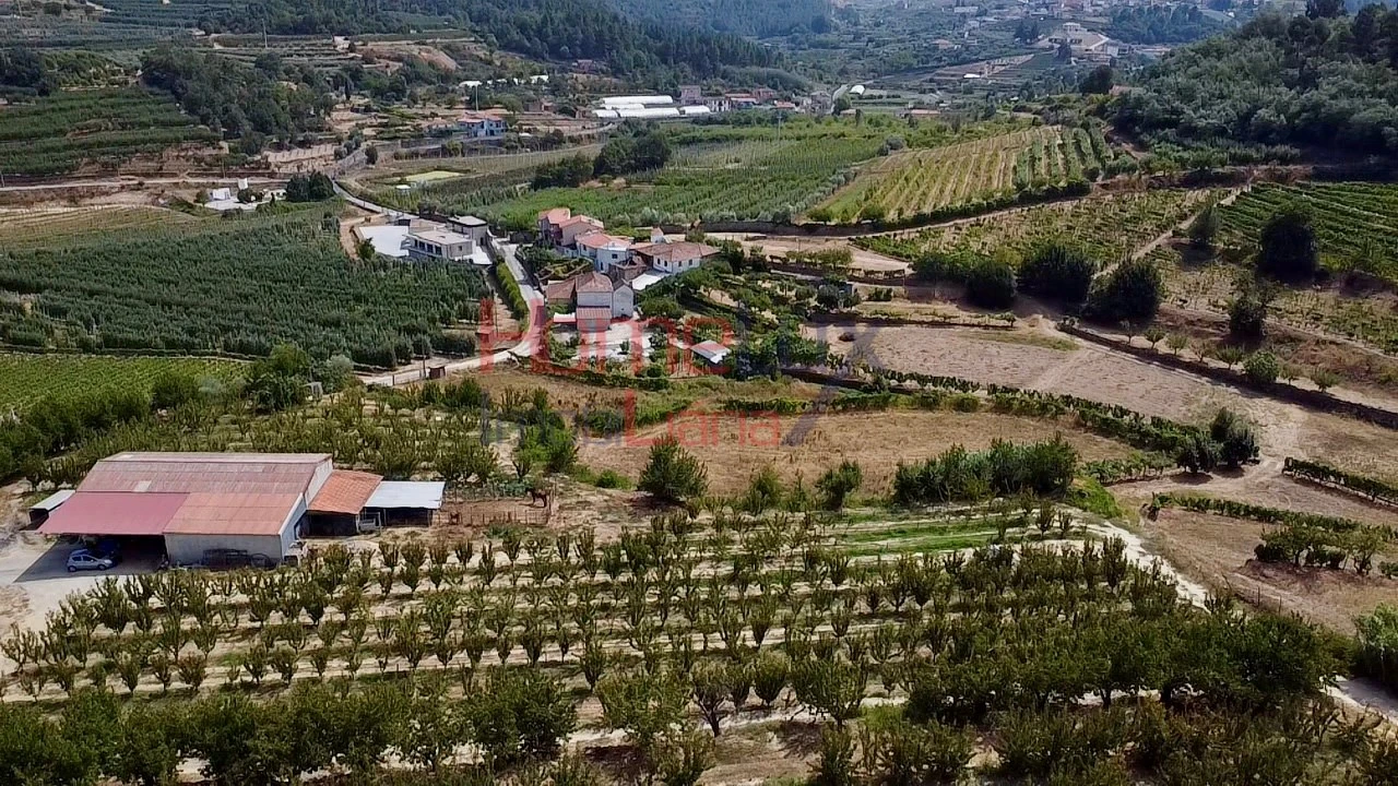 Quinta T3 para Venda em Lamego (Almacave e Sé) Foto 11