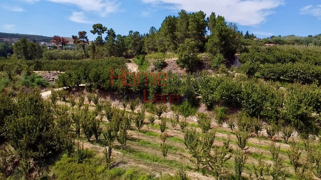 Quinta T3 para Venda em Lamego (Almacave e Sé) Foto 19