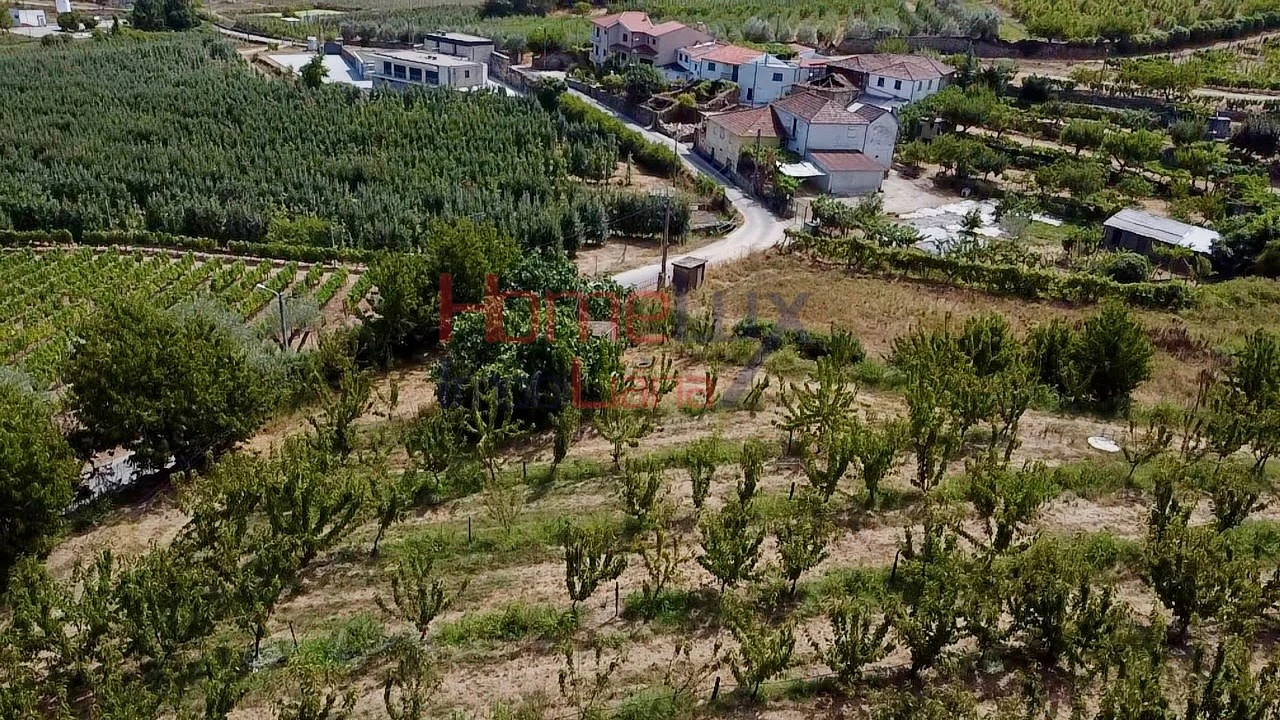 Quinta T3 para Venda em Lamego (Almacave e Sé) Foto 20