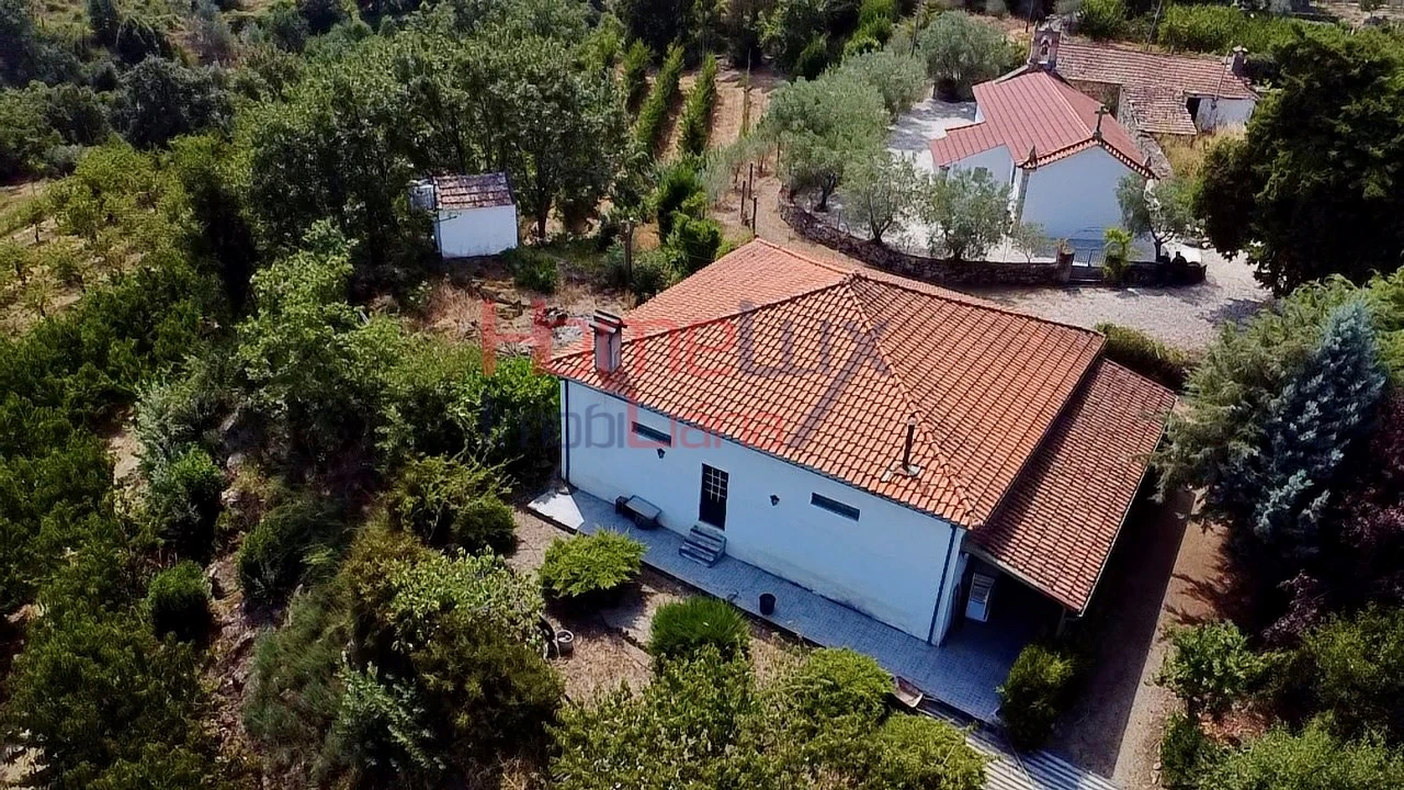 Quinta T3 para Venda em Lamego (Almacave e Sé) Foto 6