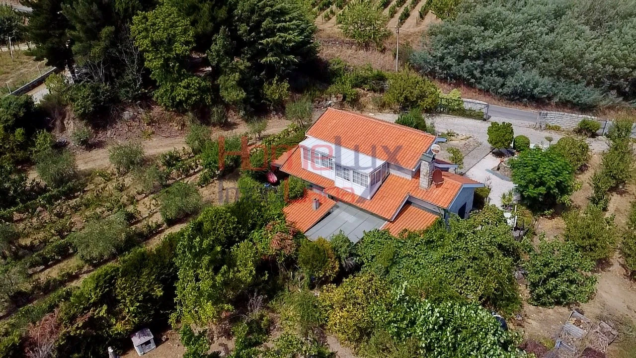 Quinta T3 para Venda em Lamego (Almacave e Sé) Foto 3