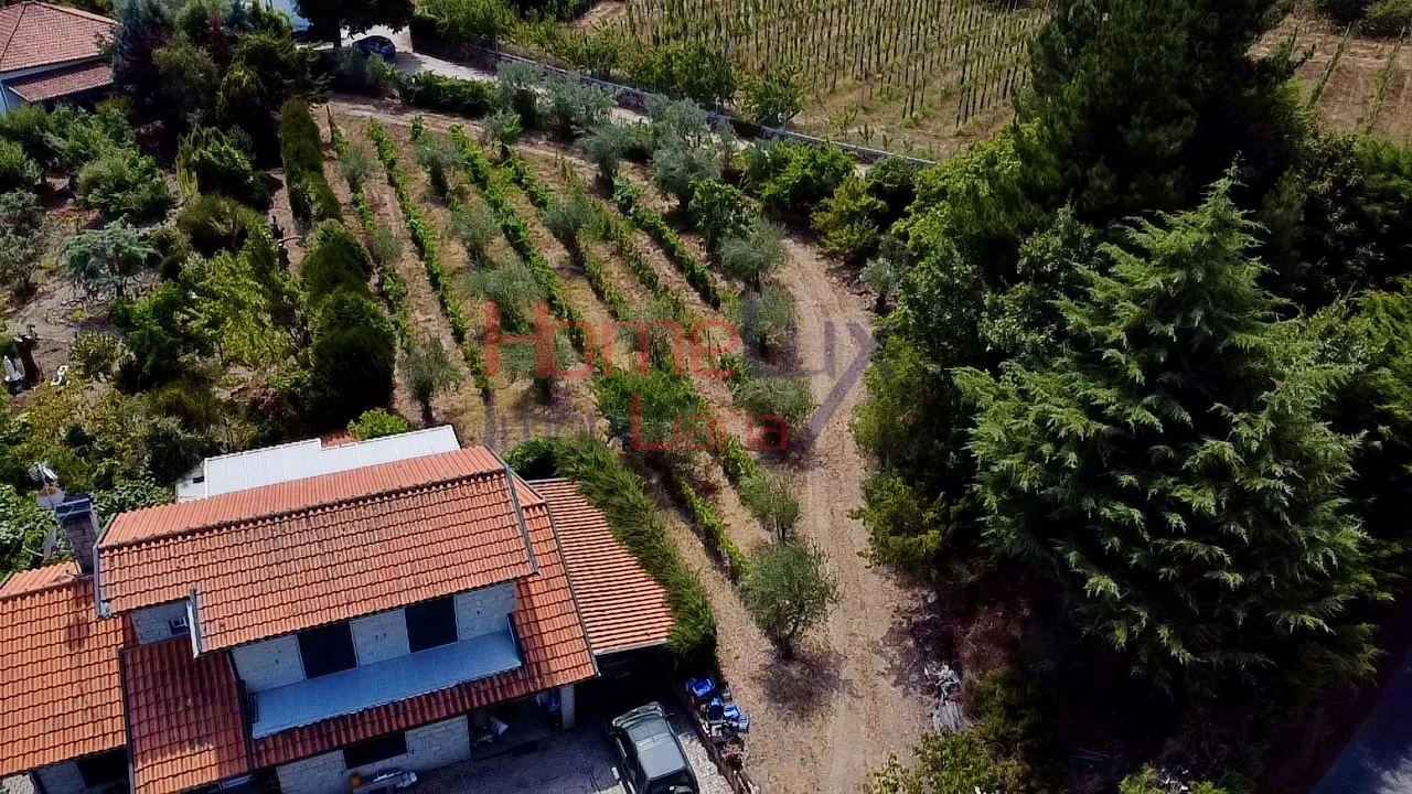 Quinta T3 para Venda em Lamego (Almacave e Sé) Foto 4