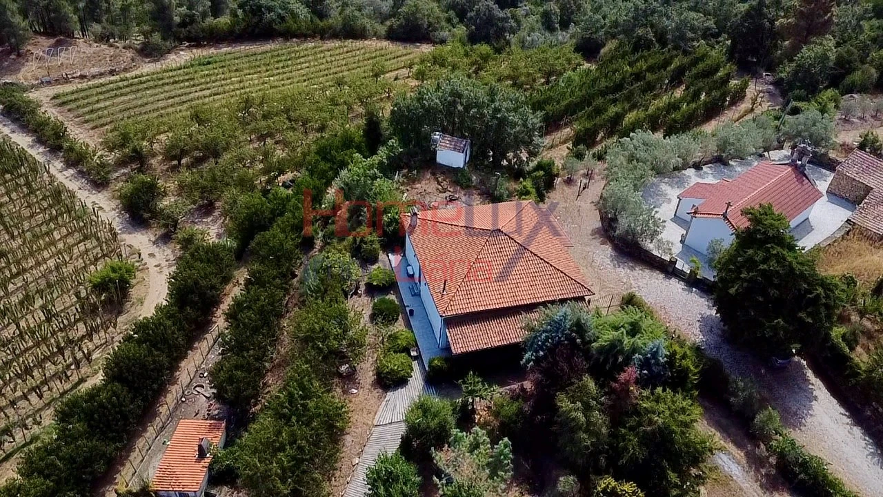 Quinta T3 para Venda em Lamego (Almacave e Sé) Foto 5