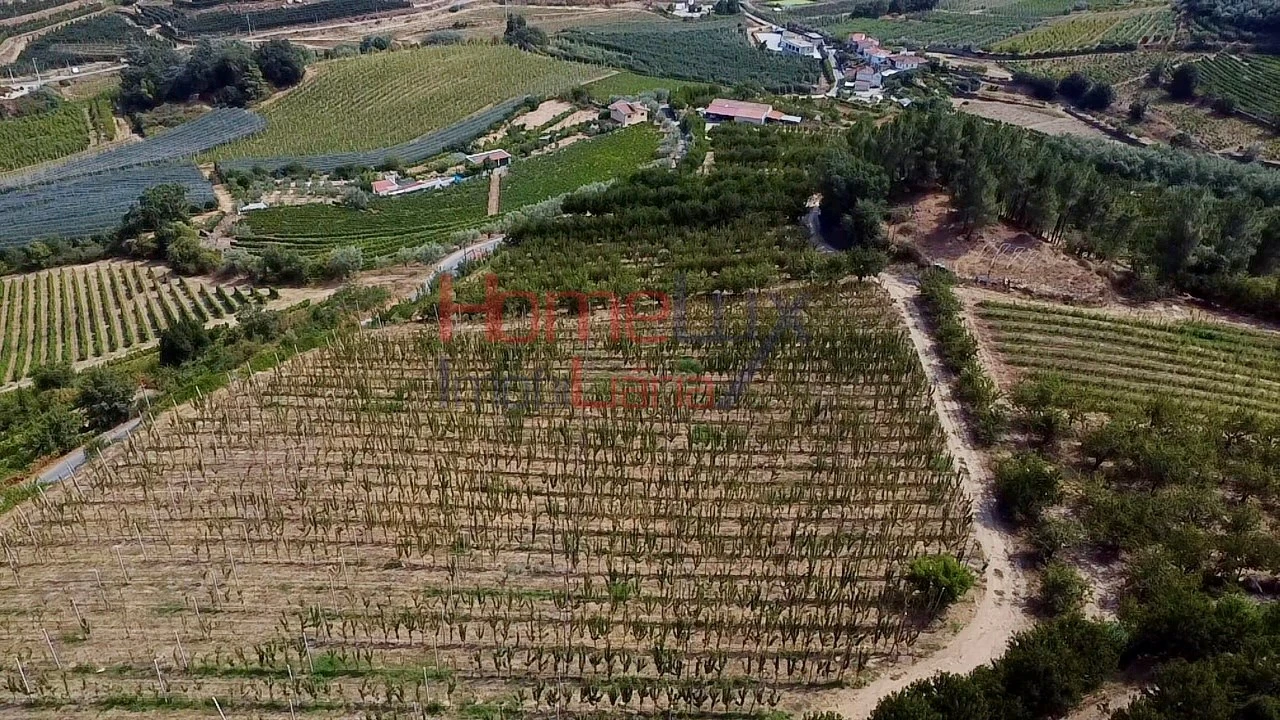 Quinta T3 para Venda em Lamego (Almacave e Sé) Foto 16
