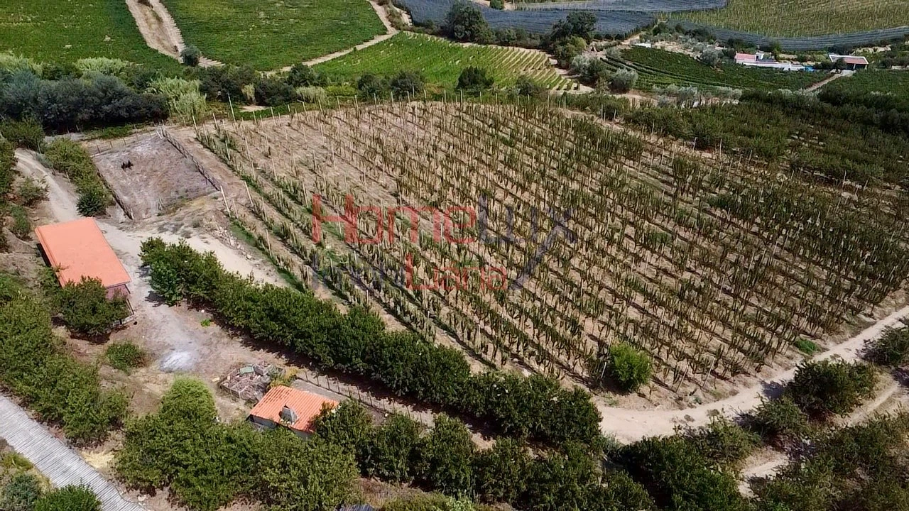 Quinta T3 para Venda em Lamego (Almacave e Sé) Foto 13