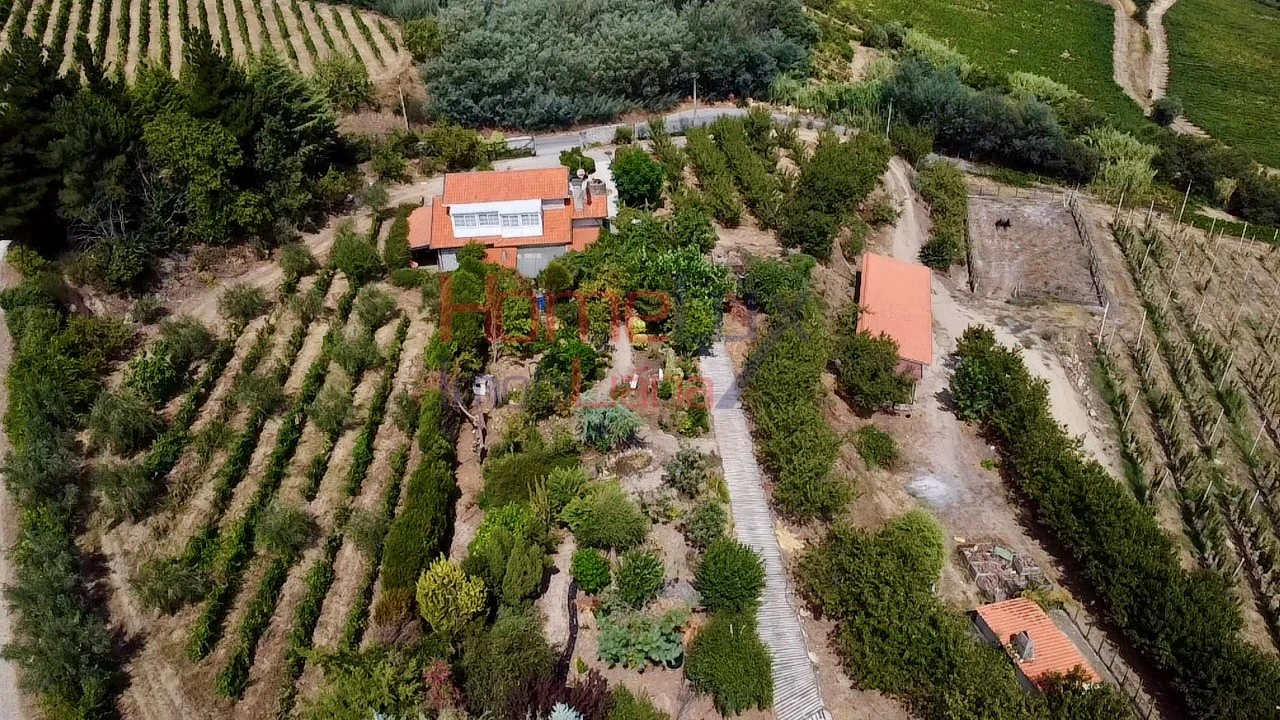 Quinta T3 para Venda em Lamego (Almacave e Sé) Foto 12