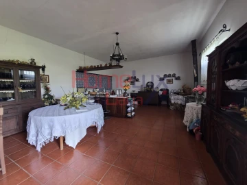 Quinta T3 para Venda em Lamego (Almacave e Sé)