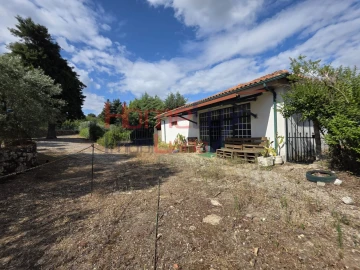 Quinta T3 para Venda em Lamego (Almacave e Sé)