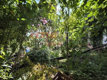 Quinta T3 para Venda em Lamego (Almacave e Sé)