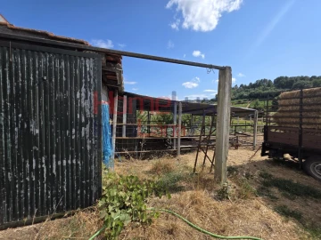 Quinta T3 para Venda em Lamego (Almacave e Sé)