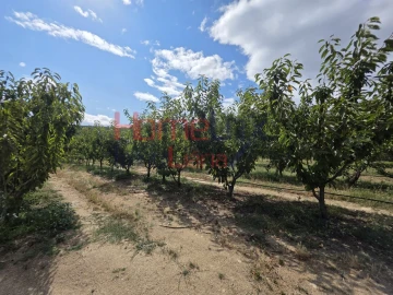 Quinta T3 para Venda em Lamego (Almacave e Sé)