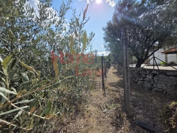 Quinta T3 para Venda em Lamego (Almacave e Sé)