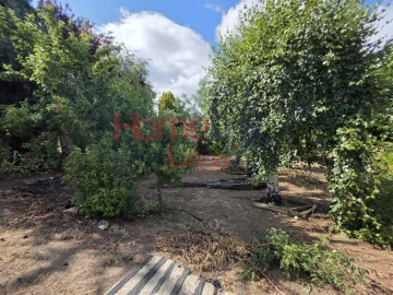 Quinta T3 para Venda em Lamego (Almacave e Sé)