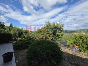 Quinta T3 para Venda em Lamego (Almacave e Sé)