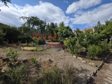 Quinta T3 para Venda em Lamego (Almacave e Sé)
