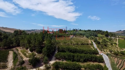 Quinta T3 para Venda em Lamego (Almacave e Sé)