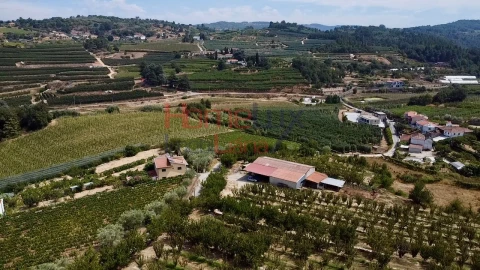 Quinta T3 para Venda em Lamego (Almacave e Sé)