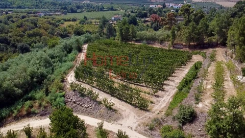 Quinta T3 para Venda em Lamego (Almacave e Sé)