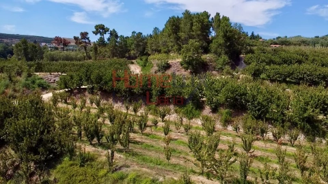 Quinta T3 para Venda em Lamego (Almacave e Sé)