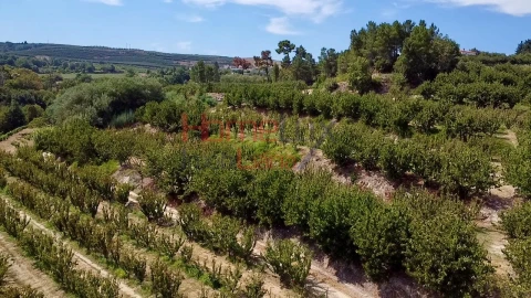 Quinta T3 para Venda em Lamego (Almacave e Sé)