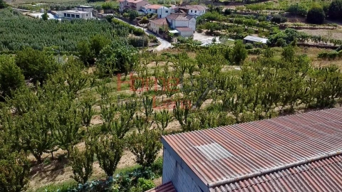 Quinta T3 para Venda em Lamego (Almacave e Sé)
